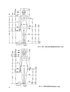 身体尺寸比例