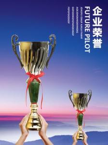 企业荣誉