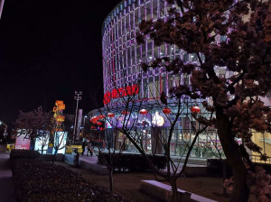 金山区