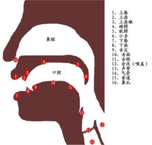 发音方法 搜狗百科