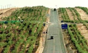 塔里木沙漠公路风景 图集（2）