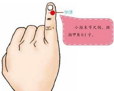 少泽穴