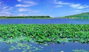 湿地公园
