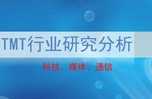 TMT行业