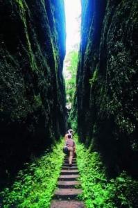 百卉谷“一线天”