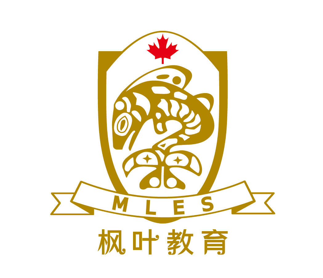 枫叶国际学校logo设计图片