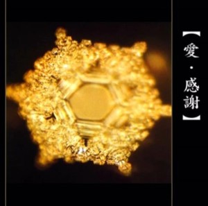 “爱，感谢”时所拍的照片