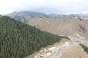 伊宁