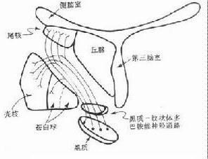 酸度调节剂原理