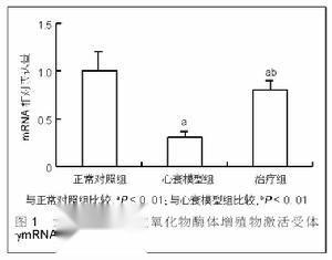 反转录酶