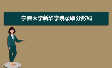 宁夏大学新华学院