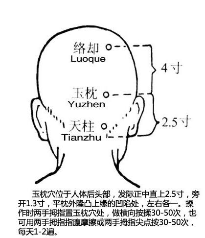 玉枕的准确位置图片图片