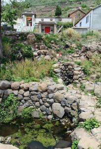 宿山法云泉