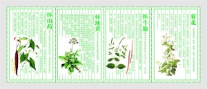 四大怀药