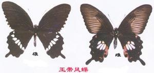 合并图册