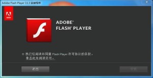 Adobe Flash Player