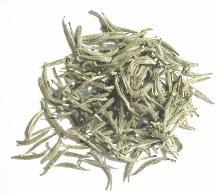 各种品种的白茶
