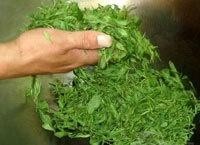 小兰花茶