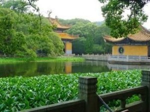 梅湾春晓