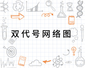 网络代号是啥 300