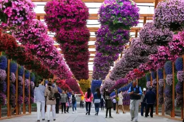 花朝节 汉族传统节日 搜狗百科 花朝节 汉族传统节日 搜狗百科