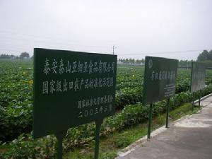 黄河涯镇