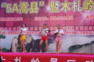 河南卫视《畅享中原》大型文艺演出