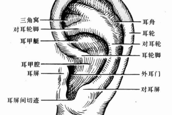 鼓膜穿孔 搜狗百科