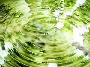 “绿水”主要是指植物根部的土壤存储的雨水