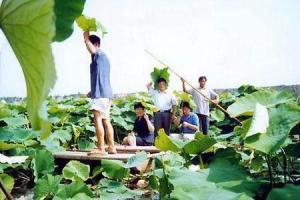 西闫乡人文景观