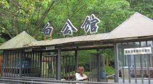 沙坪坝区
