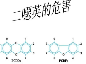 属氯代含氧三环芳烃类化合物,包括75 种多氯代二苯并一对一二噁英和