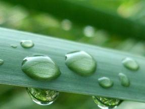 癸水至弱，达于天津。得龙而运，功化斯神。