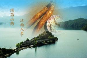 瑞昌山药