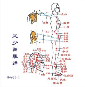 足少阳胆经