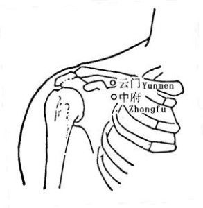 中府穴