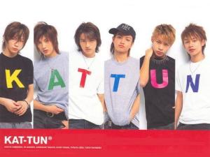 Kattun 搜狗百科