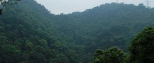 东福山