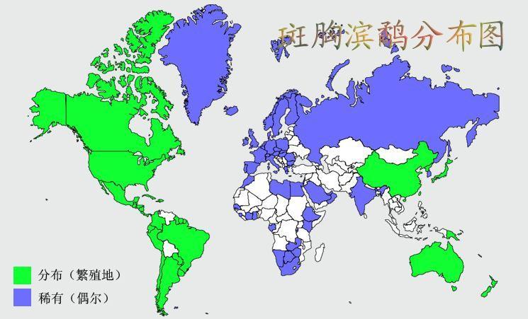 斑胸滨鹬分布图