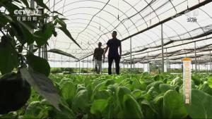 聚集三农 聚集三农