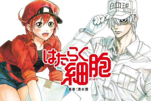 工作细胞 清水茜著作的漫画 搜狗百科 工作细胞 清水茜著作的漫画 搜狗百科