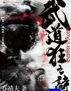 内地版封面