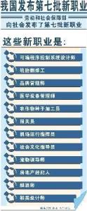 新职业表
