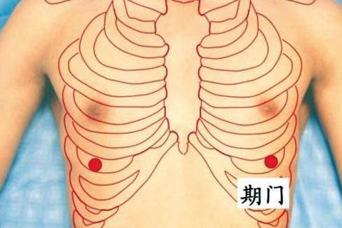 期门穴