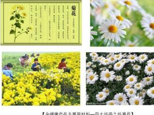 四大怀药