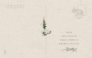 写给未来 背面图