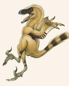 斑比盗龙 - 搜狗百科