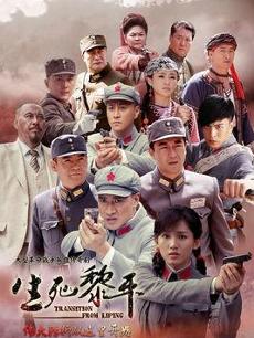 《生死黎平》海报