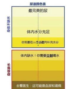尿颜色