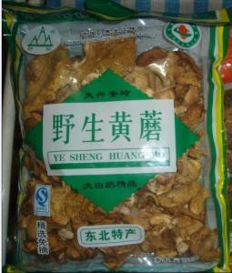 此为黄蘑照片